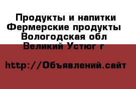 Продукты и напитки Фермерские продукты. Вологодская обл.,Великий Устюг г.